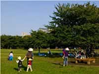 都立木場公園